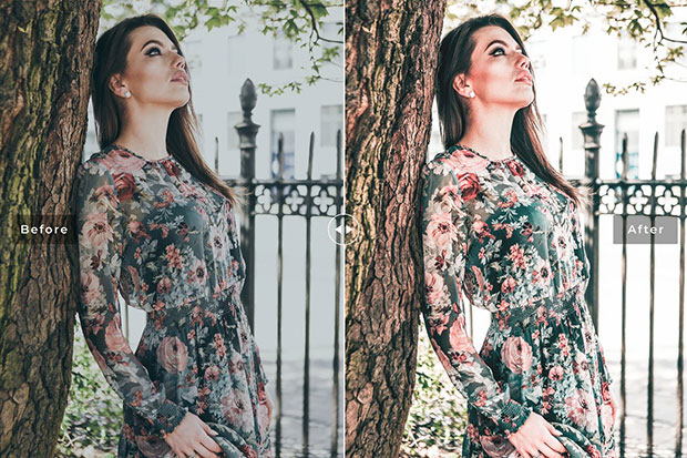 34 پریست لایت روم و پریست CameraRaw تم دانمارک Denmark Pro Lightroom Presets 34 پریست لایت روم و پریست CameraRaw تم دانمارک Denmark Pro Lightroom Presets