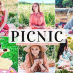 40 پریست لایت روم و Camera Raw و اکشن فتوشاپ تم پیک نیک Picnic Mobile & Desktop Lightroom Presets
