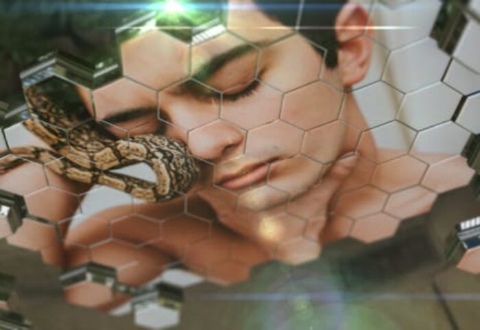 پروژه آماده افتر افکت با موزیک اسلایدشو افکت لانه زنبور Honeycomb Slideshow