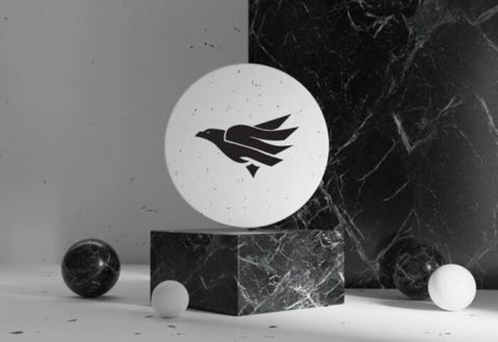 پروژه آماده افتر افکت با موزیک لوگو 3 بعدی سنگی Quick Stomp Logo Reveal 3D