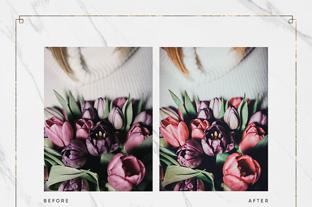 پریست لایت روم حرفه ای دسکتاپ و موبایل New Vintage Lightroom Preset Bundle پریست لایت روم حرفه ای دسکتاپ و موبایل New Vintage Lightroom Preset Bundle