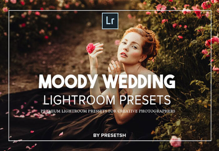 پریست لایت روم حرفه ای و کمرا راو عروسی Moody Wedding Lightroom Presets