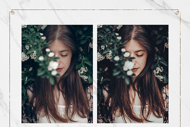 پریست لایت روم دسکتاپ و موبایل تم رویایی Dreamscape Lightroom Presets Bundle پریست لایت روم دسکتاپ و موبایل تم رویایی Dreamscape Lightroom Presets Bundle