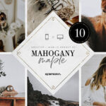 پریست لایت روم دسکتاپ و موبایل تم زیست شناسی Mahogany & Maple Lightroom Presets