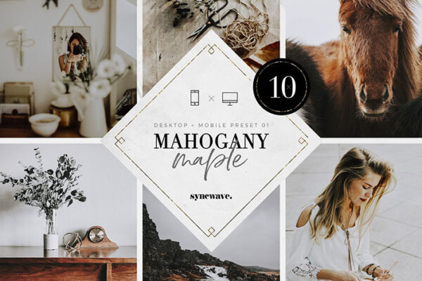 پریست لایت روم دسکتاپ و موبایل تم زیست شناسی Mahogany & Maple Lightroom Presets