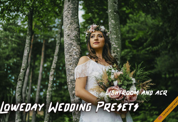 پریست لایت روم عروسی و پریست کمرا راو Loweday Wedding Presets - LR and ACR