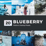 پریست لایت روم و پریست کمرا راو و لات رنگی تم آبی Blueberry Lightroom Presets & LUT