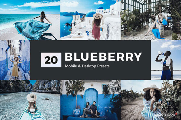 پریست لایت روم و پریست کمرا راو و لات رنگی تم آبی Blueberry Lightroom Presets & LUT
