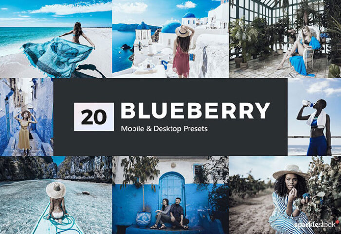 پریست لایت روم و پریست کمرا راو و لات رنگی تم آبی Blueberry Lightroom Presets & LUT