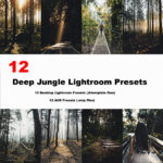 24 پریست لایت روم و Camera Raw تم جنگل Deep Jungle Lightroom Presets