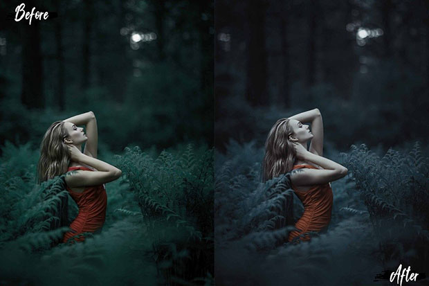 24 پریست لایت روم و Camera Raw تم جنگل Deep Jungle Lightroom Presets 24 پریست لایت روم و Camera Raw تم جنگل Deep Jungle Lightroom Presets