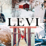 40 پریست لایت روم و کمرا راو و اکشن فتوشاپ Levi Pro Lightroom Presets