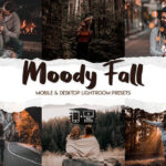 60 پریست لایت روم پاییزی و پریست کمرا راو فتوشاپ Moody Fall Lightroom Presets