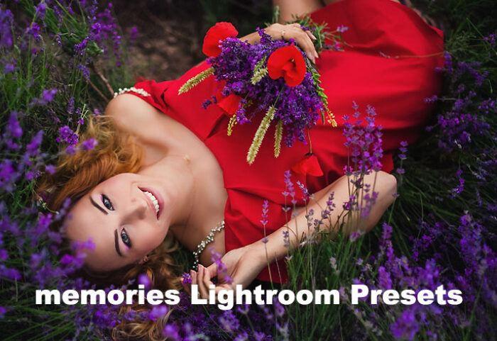 پریست لایت روم حرفه ای تم خاطرات memories Lightroom Presets