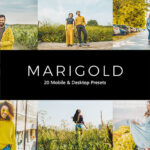پریست لایت روم و پریست کمرا راو و لات رنگی Marigold Lightroom Presets & LUTs
