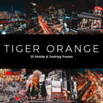 پریست لایت روم و پریست کمرا راو و لات رنگی ببر نارنجی Tiger Orange Lightroom Presets & LUTs