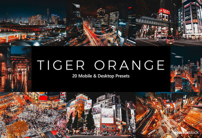 پریست لایت روم و پریست کمرا راو و لات رنگی ببر نارنجی Tiger Orange Lightroom Presets & LUTs