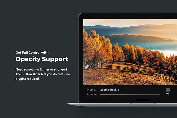 پریست لایت روم و پریست کمرا راو و لات رنگی پاییز Autumn Lightroom Presets & LUTs پریست لایت روم و پریست کمرا راو و لات رنگی پاییز Autumn Lightroom Presets & LUTs