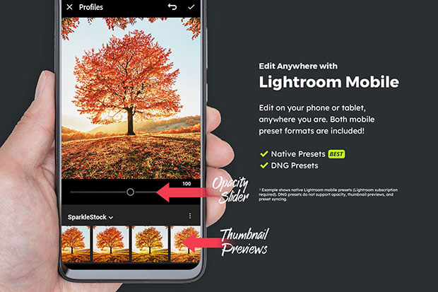 پریست لایت روم و پریست کمرا راو و لات رنگی پاییز Autumn Lightroom Presets & LUTs پریست لایت روم و پریست کمرا راو و لات رنگی پاییز Autumn Lightroom Presets & LUTs