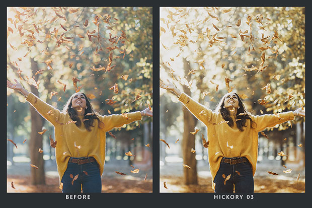 پریست لایت روم و پریست کمرا راو و لات رنگی پاییز Autumn Lightroom Presets & LUTs پریست لایت روم و پریست کمرا راو و لات رنگی پاییز Autumn Lightroom Presets & LUTs