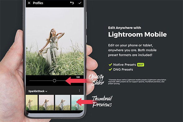پریست لایت روم و کمرا راو و لات رنگی افسانه Fairytale Lightroom Presets & LUTs