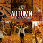 15 پریست لایت روم و پریست کمرا راو فتوشاپ فصل پاییز Autumn Lifestyles Presets