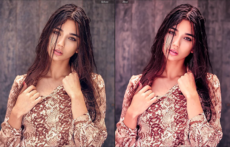 16 پریست لایت روم حرفه ای رتوش پوست صورت Skin Retouch Pro Lightroom Presets