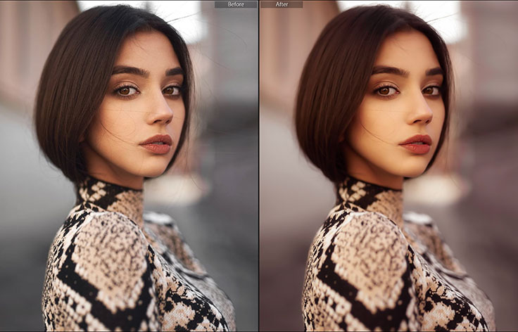 16 پریست لایت روم حرفه ای رتوش پوست صورت Skin Retouch Pro Lightroom Presets
