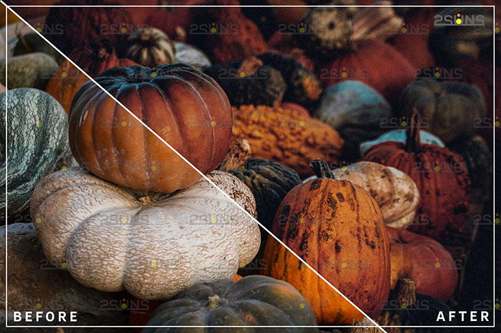 20 پریست لایت روم دسکتاپ و موبایل تم جشن هالووین Halloween presets & Horror Lightroom presets 20 پریست لایت روم دسکتاپ و موبایل تم جشن هالووین Halloween presets & Horror Lightroom presets