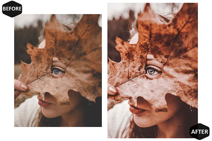 20 پریست لایت روم فصل پاییز Rich And Moody Mobile & Desktop Lightroom Presets Fall 20 پریست لایت روم فصل پاییز Rich And Moody Mobile & Desktop Lightroom Presets Fall