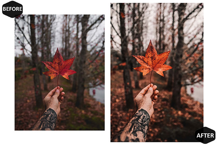 20 پریست لایت روم فصل پاییز Rich And Moody Mobile & Desktop Lightroom Presets Fall 20 پریست لایت روم فصل پاییز Rich And Moody Mobile & Desktop Lightroom Presets Fall