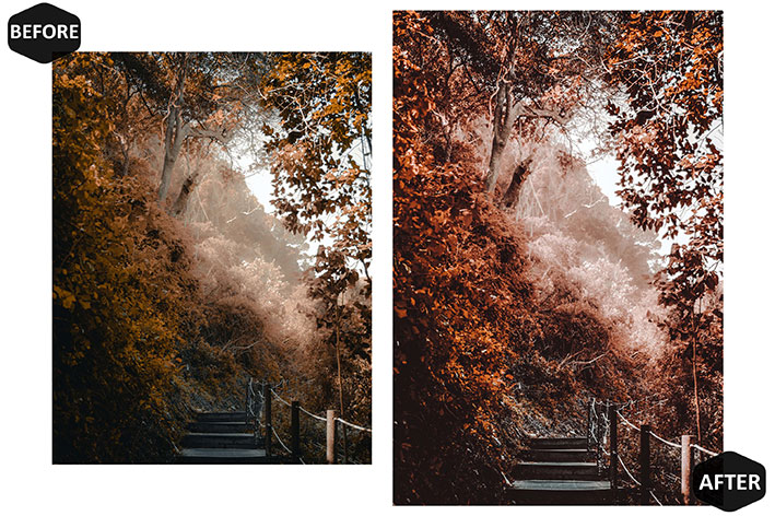 20 پریست لایت روم فصل پاییز Rich And Moody Mobile & Desktop Lightroom Presets Fall 20 پریست لایت روم فصل پاییز Rich And Moody Mobile & Desktop Lightroom Presets Fall