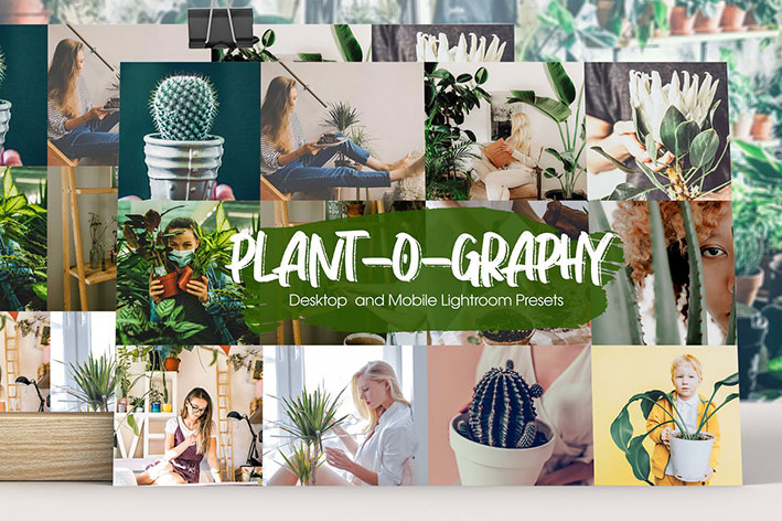 32 پریست لایت روم دسکتاپ و موبایل تم بوته زار Plant-o-graphy Lightroom Presets 32 پریست لایت روم دسکتاپ و موبایل تم بوته زار Plant-o-graphy Lightroom Presets