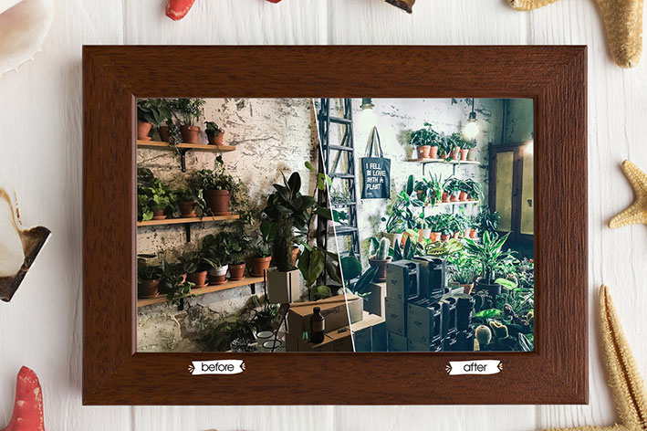 32 پریست لایت روم دسکتاپ و موبایل تم بوته زار Plant-o-graphy Lightroom Presets 32 پریست لایت روم دسکتاپ و موبایل تم بوته زار Plant-o-graphy Lightroom Presets