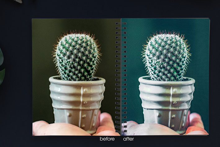 32 پریست لایت روم دسکتاپ و موبایل تم بوته زار Plant-o-graphy Lightroom Presets 32 پریست لایت روم دسکتاپ و موبایل تم بوته زار Plant-o-graphy Lightroom Presets