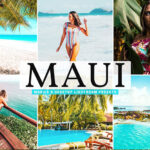 40 پریست لایت روم و پریست کمرا راو و اکشن فتوشاپ تم ماوی هاوایی Maui Pro Lightroom Presets