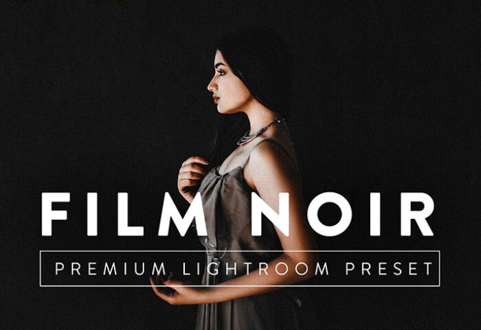 9 پریست لایت روم حرفه ای تم فیلم سیاه FILM NOIR Pro Lightroom Preset