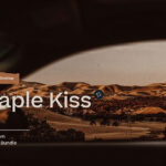 پریست لایت روم حرفه ای موبایل و دسکتاپ Maple Kiss Lightroom Presets