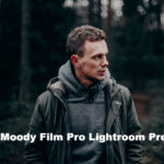 12 پریست رنگی لایت روم دسکتاپ و موبایل تم سینماتیک Moody Film Pro Lightroom Presets