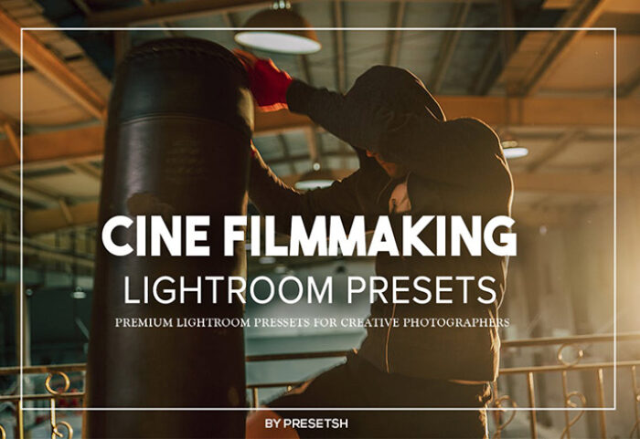 14 پریست لایت روم حرفه ای رنگ سینمایی Cine Filmmaking Lightroom Presets