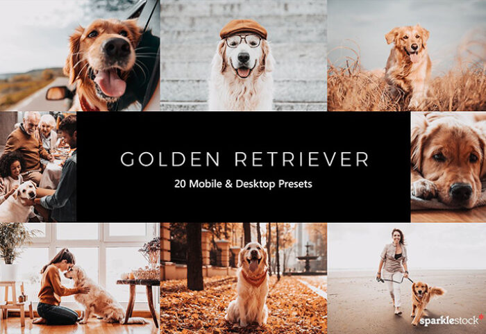 20 پریست لایت روم و پریست کمرا راو و لات رنگی تم سگ وفادار Golden Retriever LR Presets