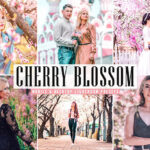 34 پریست لایت روم و Camera Raw و اکشن فتوشاپ تم شکوفه گیلاس Cherry Blossom Lightroom Presets
