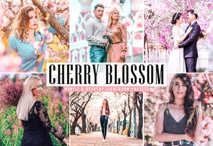34 پریست لایت روم و Camera Raw و اکشن فتوشاپ تم شکوفه گیلاس Cherry Blossom Lightroom Presets
