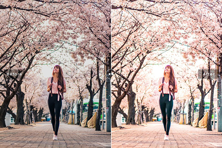 34 پریست لایت روم و Camera Raw و اکشن فتوشاپ تم شکوفه گیلاس Cherry Blossom Lightroom Presets 34 پریست لایت روم و Camera Raw و اکشن فتوشاپ تم شکوفه گیلاس Cherry Blossom Lightroom Presets