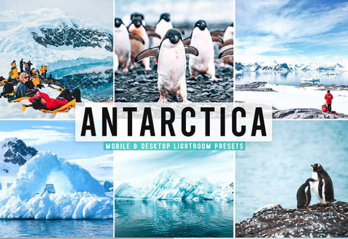 40 پریست لایت روم و پریست کمرا راو و اکشن فتوشاپ تم قطب جنوب Antarctica Pro Lightroom Presets