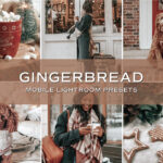 10 پریست لایت روم حرفه ای تم رنگی رنجبیل Gingerbread Lightroom Presets
