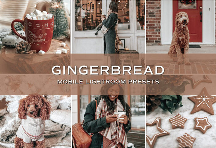 10 پریست لایت روم حرفه ای تم رنگی رنجبیل Gingerbread Lightroom Presets