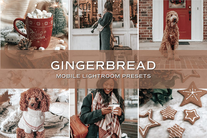 10 پریست لایت روم حرفه ای تم رنگی رنجبیل Gingerbread Lightroom Presets 10 پریست لایت روم حرفه ای تم رنگی رنجبیل Gingerbread Lightroom Presets