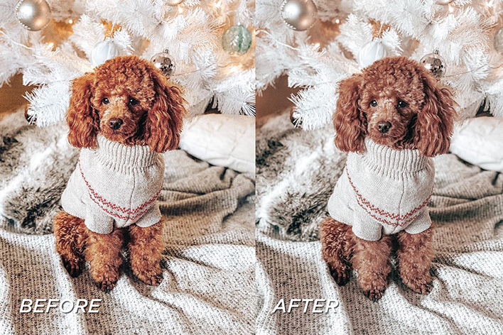 10 پریست لایت روم حرفه ای تم رنگی رنجبیل Gingerbread Lightroom Presets 10 پریست لایت روم حرفه ای تم رنگی رنجبیل Gingerbread Lightroom Presets