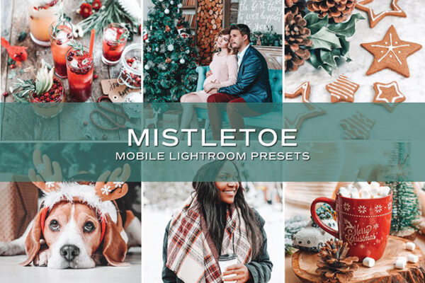 10 پریست لایت روم مواد حرفه ای تم تعطیلات Holiday Lightroom Presets